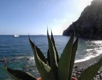 Villa Degli Ulivi in Positano - Photo 20